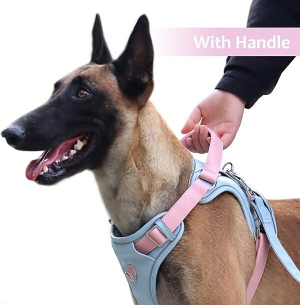 Leather Dog Harness for Medium, Large Size Dogs No Pull, Adjustable Dog Vest with Handle and Two Leash-Attachment Points, Easy to Clean, Blue XL - Image 2