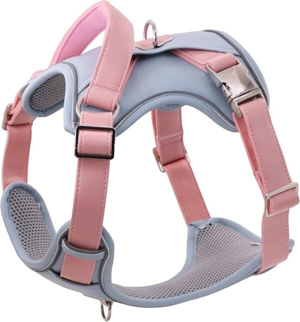 Leather Dog Harness for Medium, Large Size Dogs No Pull, Adjustable Dog Vest with Handle and Two Leash-Attachment Points, Easy to Clean, Blue XL
