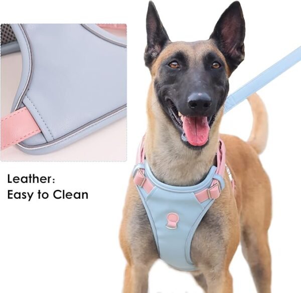 Leather Dog Harness for Medium, Large Size Dogs No Pull, Adjustable Dog Vest with Handle and Two Leash-Attachment Points, Easy to Clean, Blue XL - Image 3