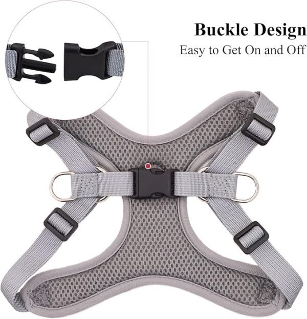 Adjustable Dog Harness Vest and Leash Set for Small, Medium Dogs No Pull, Step in Escape Proof Reflective Easy Walk Puppy Harness, Red, S (Comes with A Measuring Tape) - Image 2