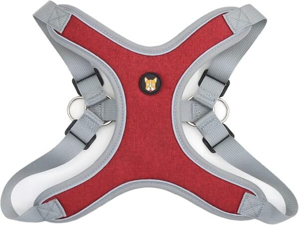 Adjustable Dog Harness Vest and Leash Set for Small, Medium Dogs No Pull, Step in Escape Proof Reflective Easy Walk Puppy Harness, Red, S (Comes with A Measuring Tape)