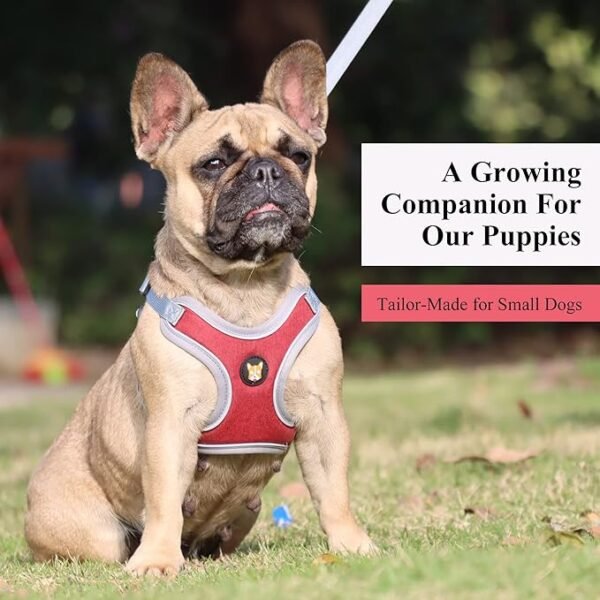 Adjustable Dog Harness Vest and Leash Set for Small, Medium Dogs No Pull, Step in Escape Proof Reflective Easy Walk Puppy Harness, Red, S (Comes with A Measuring Tape) - Image 3